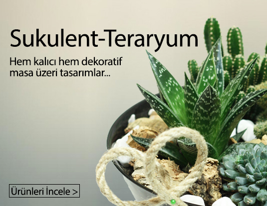 İzmir AYDINLIK EVLER Teraryum Modelleri